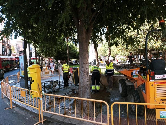 Obras de renovación del pavimento del acerado exterior de la Plaza del Duque.