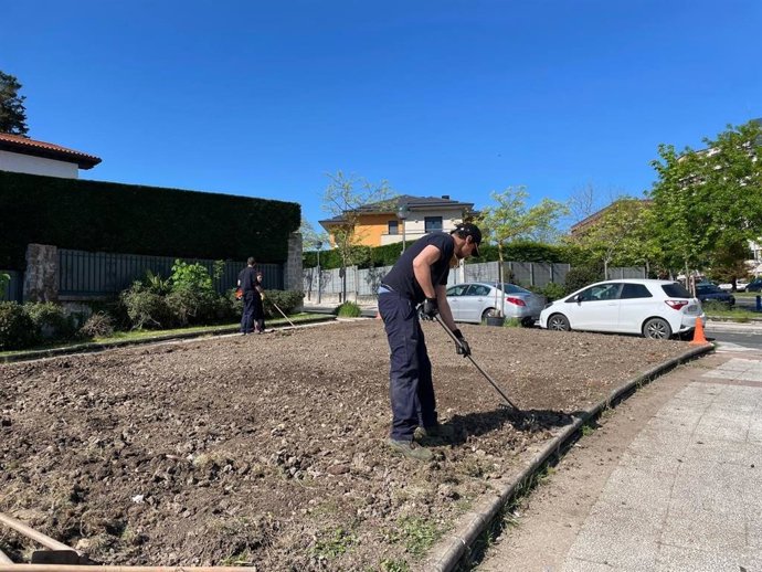 Ayuntamiento de Vitoria-Gasteiz planta vides, cerezos de flor y rosales en el parterre de la calle Portal de Castilla