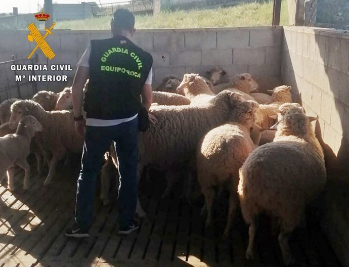 La Guardia Civil recupera los animales robados