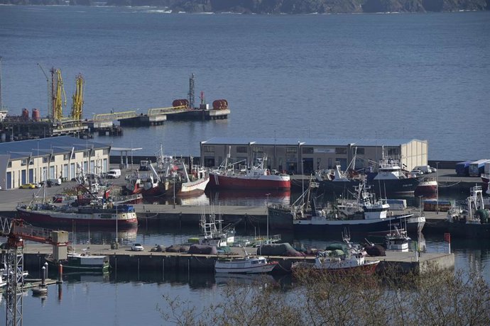 Archivo - Barcos pesqueros amarrados en el puerto