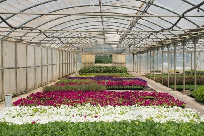 La institución provincial ha entregado planrtas a 102 ayuntamientos