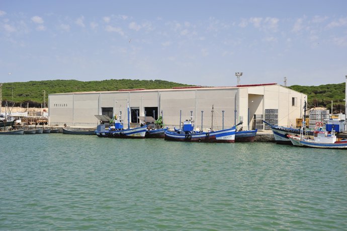 Archivo - Puerto de Barbate