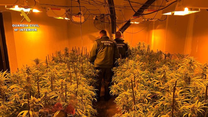 La Guardia Civil desmantela una plantación de marihuana tipo indoor