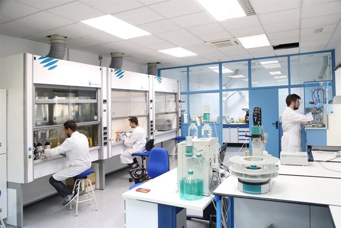 Investigadores de la UMA