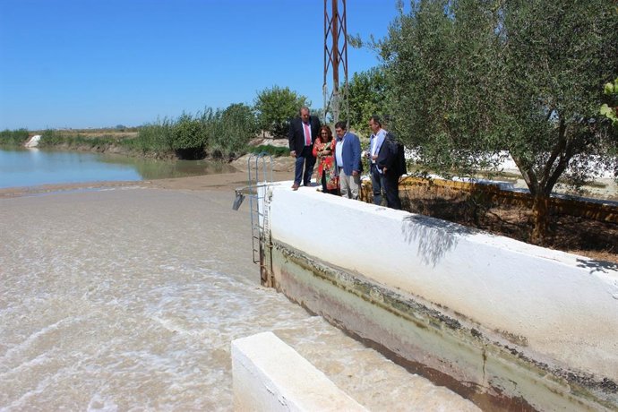 Archivo - La consejera de Agricultura, Carmen Crespo, visita arrozales de las marismas sevillanas (Fotografía de archivo)