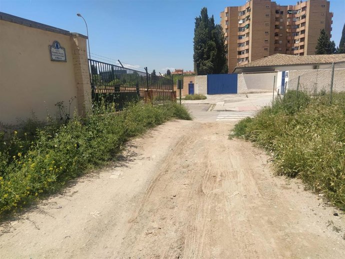 Calle sin asfaltar ni desbrozar en la zona norte de Granada
