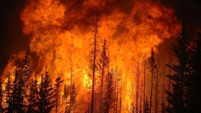 Archivo - Imagen de archivo de un incendio forestal.