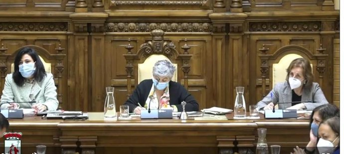 Pleno Municipal de Gijón