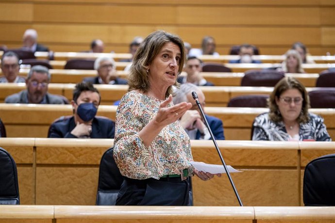 La vicepresidenta del Gobierno responsable de Transición Ecológica, Teresa Ribera, interviene en una sesión de control al Gobierno, en el Senado, a 10 de mayo de 2022, en Madrid (España). El Gobierno ha acordado la destitución de la directora del Centro