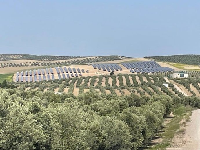 Imagen de la planta fotovoltaica