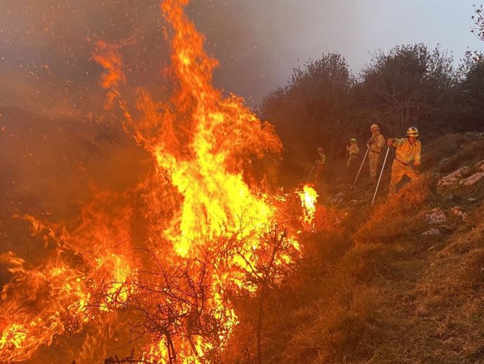 Incendio forestal.