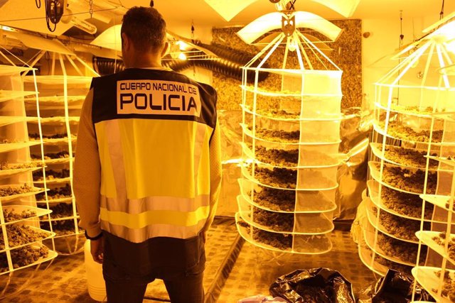 Nota De Prensa E Imágenes: " La Policía Nacional Detiene A Nueve Personas Tras Desarticular Una Organización Criminal Que Cultivaba Marihuana Indoor"