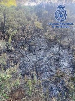 La Policía Nacional evita un incendio en el paraje natural de Los Montes y detiene a un hombre por provocar varios focos