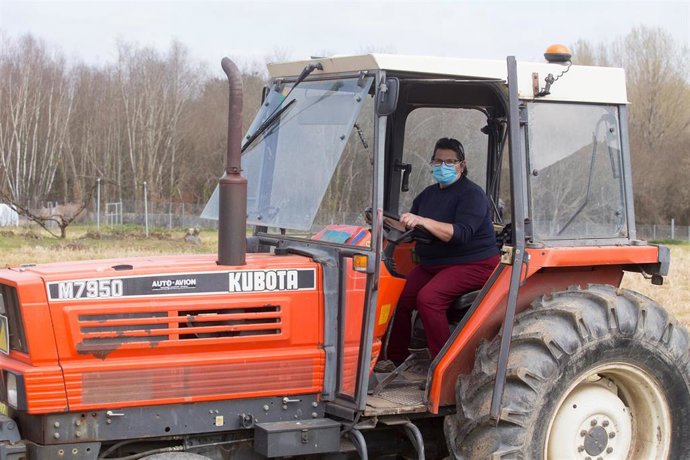 Archivo - Una mujer, Lola Martínez ara con marcarilla en su tractor para plantar patatas en su finca de Chamoso, O Corgo, en Lugo, Galicia (España), a 24 de marzo de 2021. El sector primario ha sido fundamental durante la pandemia. Agricultores y ganade