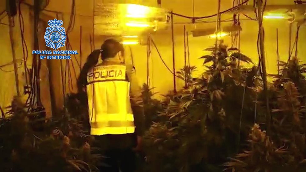 Nota De Prensa: "La Policía Nacional Detiene A 14 Personas Que Formaban Parte De Una Organización Criminal Dedicada Al Tráfico De Drogas E Interviene Más De 4200 Plantas De Marihuana En Varias Naves Industriales De La Provincia"