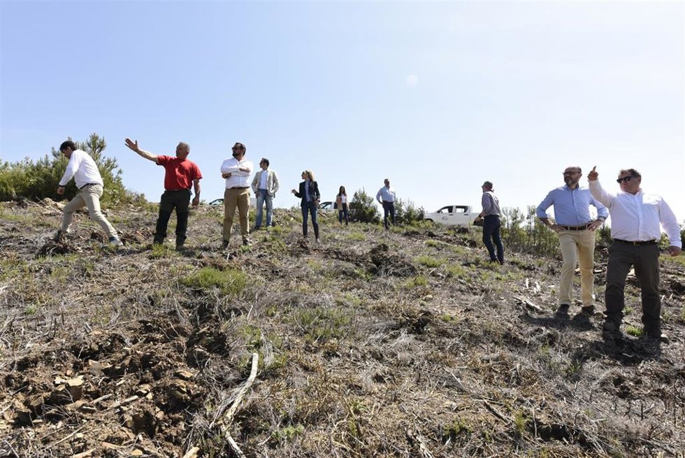 Visita a los terrenos donde se reforestará en Caminomorisco.