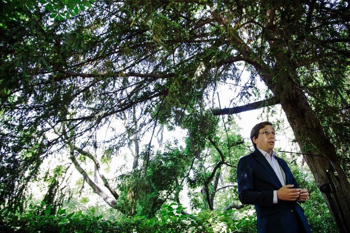 El alcalde de Madrid, José Luis Martínez-Almeida.