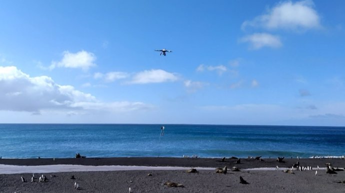 El CSIC estrena un sistema de toma muestras de aguas superficiales cercanas a las colonias de pingüinos con drones.