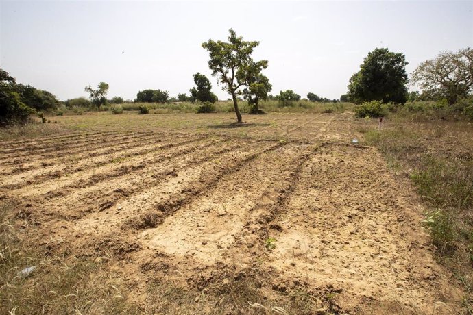 Archivo - Un campo de cultivo seco en la ciudad de Loumbila, en Burkina Faso