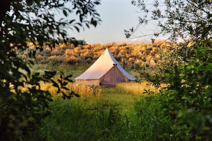 Categoría de Camping de Airbnb