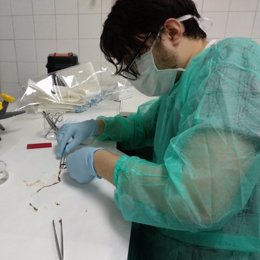 Ángel Martínez Aragonés, autor del estudio que propone analizar las bacterias 'post mortem' para fijar con más exactitud la hora de la muerte en las autopsias, analizando muestras en el laboratorio.