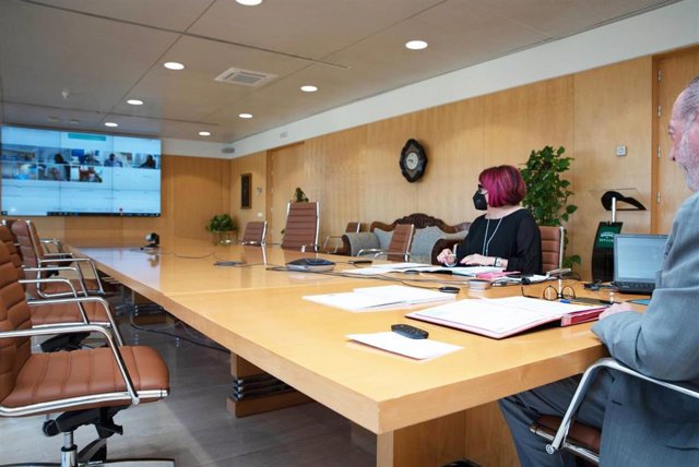 Reunión de la Subcomisión de Diputaciones de la Federación Andaluza de Municipios y Provincias (FAMP) celebrada de forma telemática.