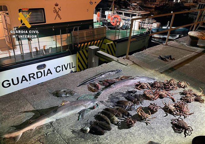 Rdo. Nota De Prensa Guardia Civil (Intervenida 600 Metros De Red Para Pesca Furtiva)