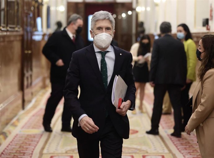 Archivo - El ministro del Interior, Fernando Grande-Marlaska, en una sesión plenaria en el Congreso de los Diputados