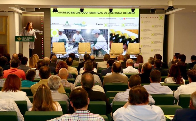 Carmen Crespo pide "altura de miras para que el olivar y la aceituna de mesa no sean los grandes damnificados de la PAC"