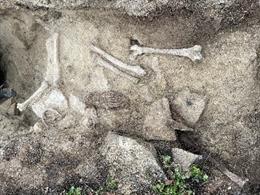 Imagen de restos óseos encontrados