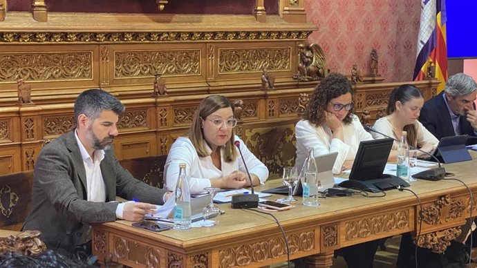 Pleno del Consell de Mallorca.