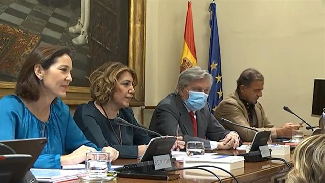 Comparecencia de la Ministra de Industria, Comercio y Turismo, Reyes Maroto ante la Comisión de Industria, Turismo y Comercio,