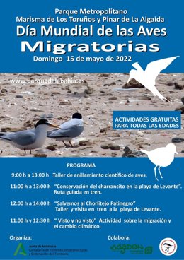 Día Mundial de las Aves Migratorias en Los Toruños.