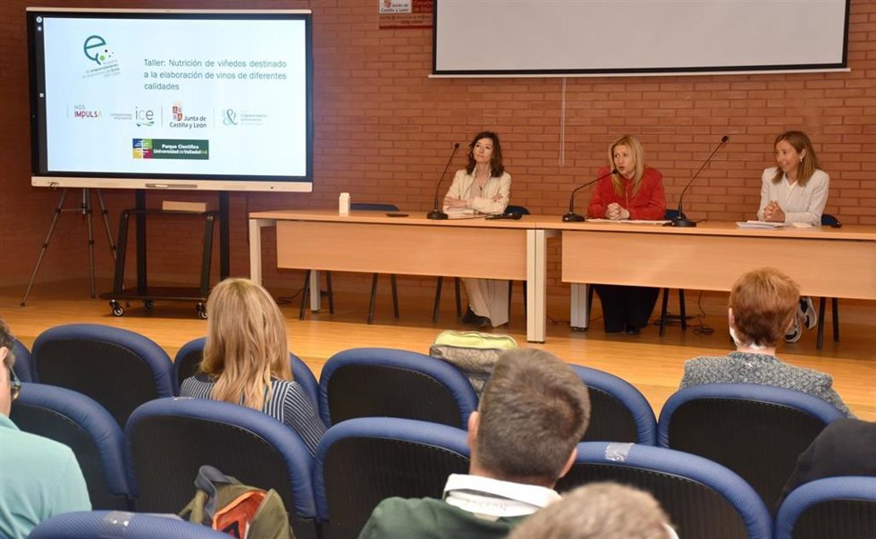 De Gregorio, en el centro, inaugura la jornada sobre viticultura en San Esteban de Gormaz.