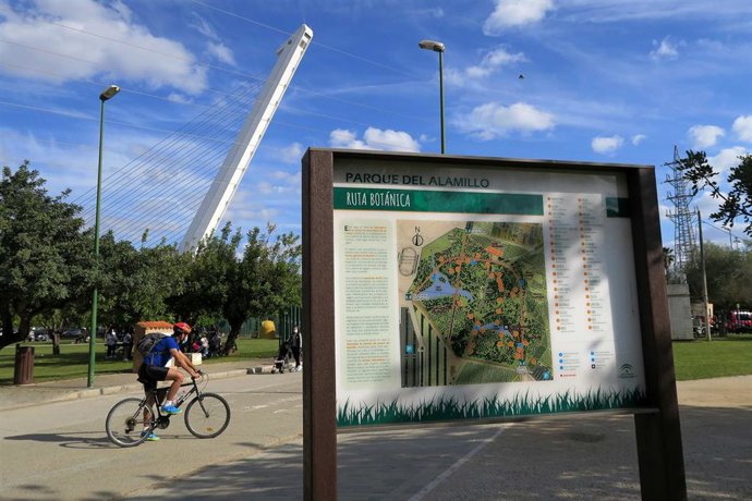 Archivo - Parque del Alamillo de Sevilla.