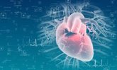 Foto: Las células progenitoras cardíacas pueden generar tejido sano tras un infarto