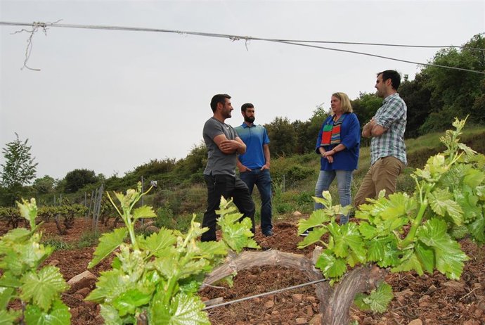 Hita prioriza "el impulso del relevo generacional para garantizar la actividad agraria y el medio rural del futuro"
