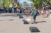 La Guardia Civil expone este sábado en Murcia sus recursos técnicos y humanos con motivo de su 178 aniversario