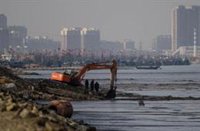 Fotos de satélite revelan una pérdida dramática de humedales de marea