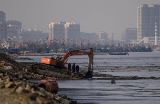 La acción humana en la costa está detrás de la pérdida de humedales de marea
