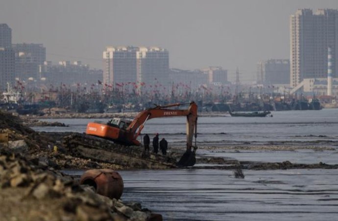 La acción humana en la costa está detrás de la pérdida de humedales de marea