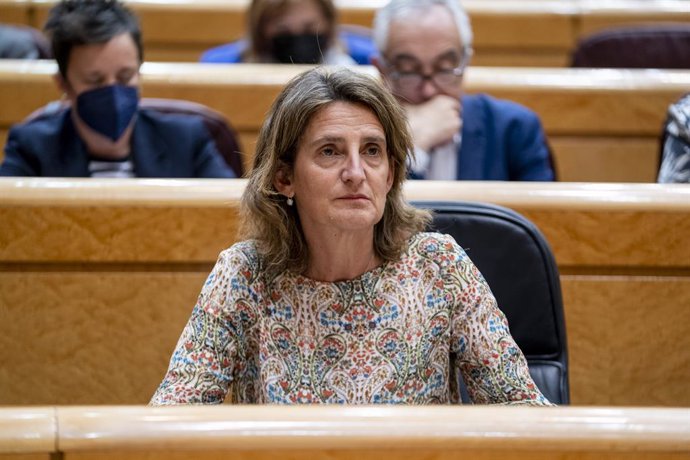 La vicepresidenta del Gobierno responsable de Transición Ecológica, Teresa Ribera, en una sesión de control al Gobierno, en el Senado, a 10 de mayo de 2022, en Madrid (España). El Gobierno ha acordado la destitución de la directora del Centro Nacional d