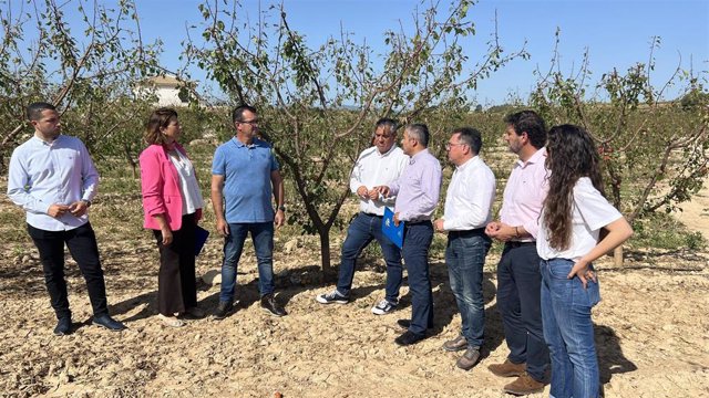 Representantes del PP visitan una explotación agrícola afectada por los daños de las tomentas