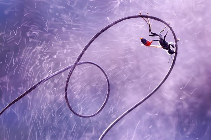 Archivo - 179 Fotógrafos Y 770 Imágenes De La Biodiversidad Riojana, En La XV Edición Del Concurso 'Naturaleza De La Rioja'