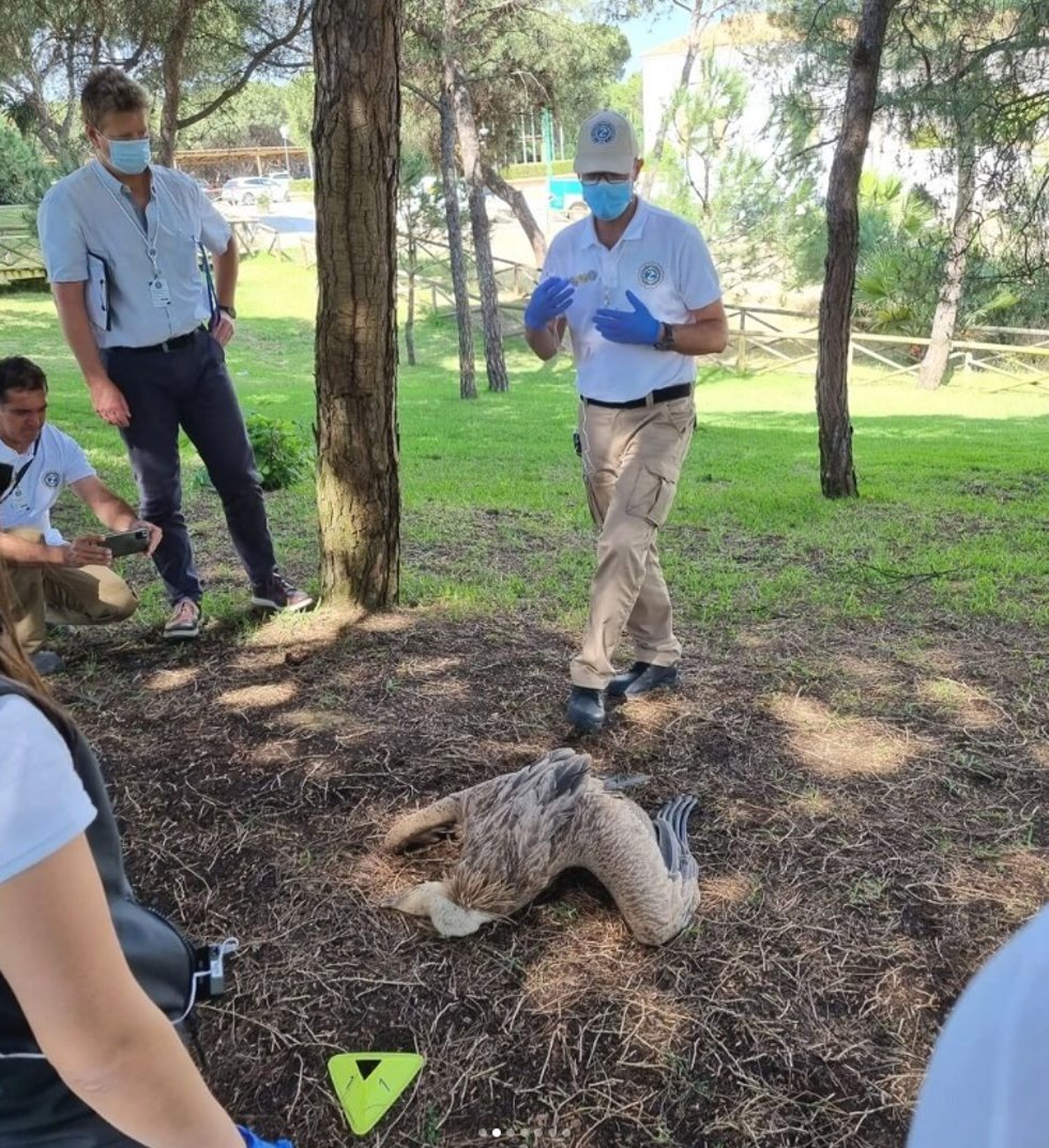 Actividad enmarcada en la Academia de crímenes contra la fauna.