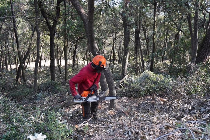 El AMB inicia la campaña de prevención de incendios en Collserola y los bosques metropolitanos.