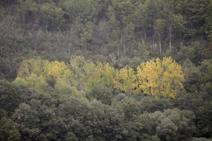 Archivo - La Sierra de Oribio, a 1 de octubre de 2021, en Triacastela, Lugo, Galicia.