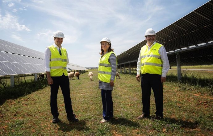 La consejera de Agricultura, Carmen Crespo, flanqueada por el director general de Endesa en Andalucía, Extremadura, Ceuta y Melilla, Rafael Sánchez Durán (izquierda), y el alcalde de Carmona, Juan Ávila (derecha), en la planta solar Las Corchas.