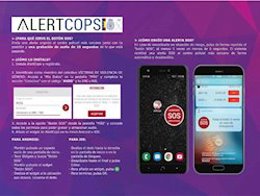 Archivo - Gráfico con los sistemas de información a las Fuerzas y Cuerpos de Seguridad del Estado en el Sistema VioGén.