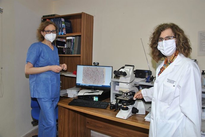 El Hospital General de Castelló colabora en un estudio mundial sobre la proteína TXNDC5 para prevenir la aterosclerosis